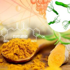 Thanh-phan-cua-nano-curcumin