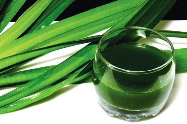 la-dua-va-tac-dung-tri-tieu-duong