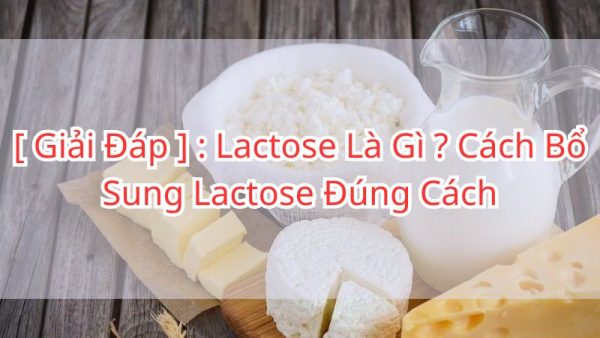 lactose-la-gi-cach-bo-sung-lactose