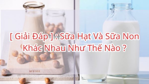 sua-hat-va-sua-non