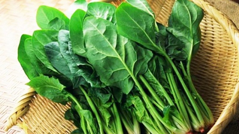 ba-bau-nen-an-rau-cai-bo-xoi