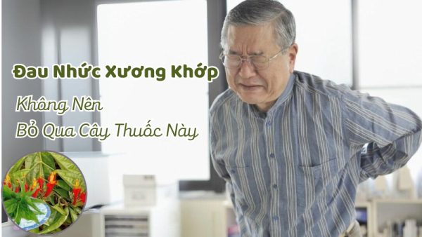 cay-bim-bip-tri-dau-nhuc-xuong-khop