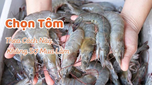 meo-chon-tom