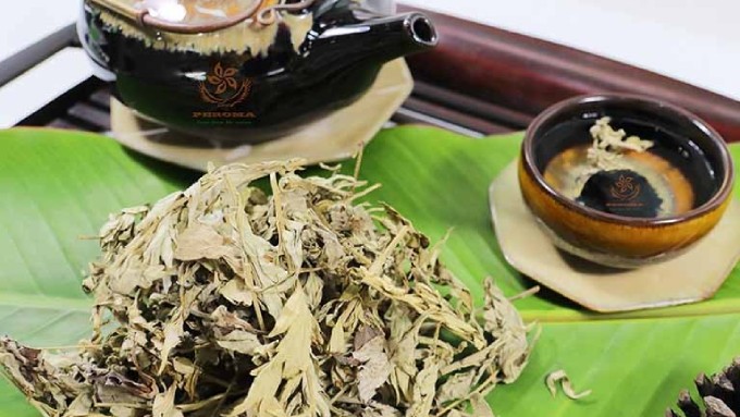 kham-pha-mot-so-bai-thuoc-tu-cay-ngai-dai