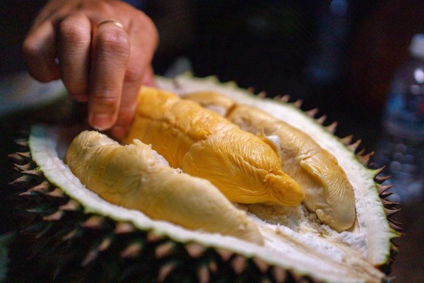 ai không nên ăn sầu riêng
