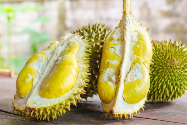 Tổng quan về sầu riêng