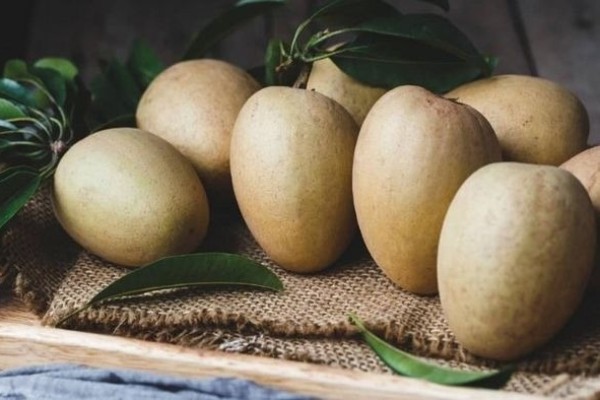 sapoche kỵ với thực phẩm nào
