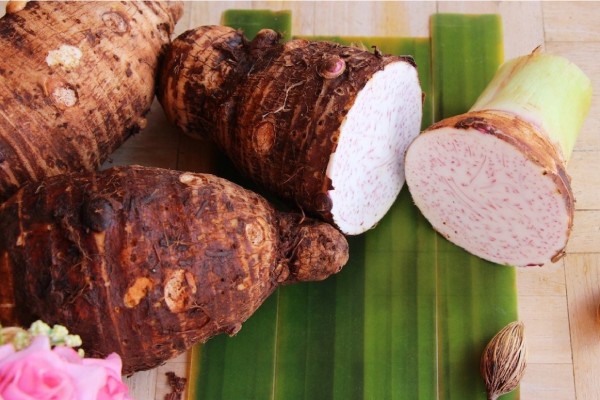 tác dụng của khoai môn