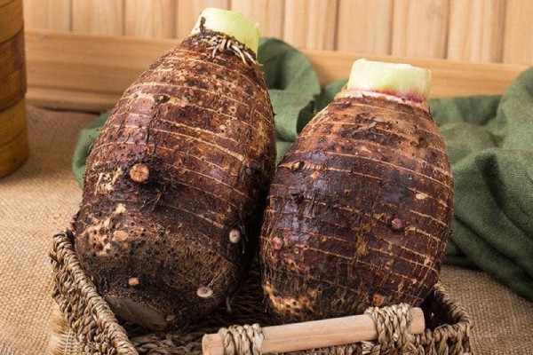 tổng quan về khoai môn
