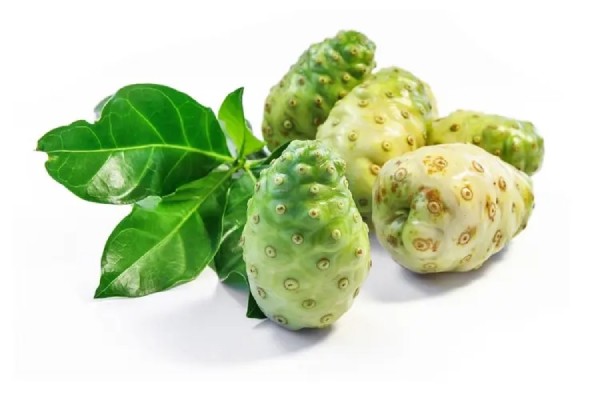 trái nhàu kỵ với gì